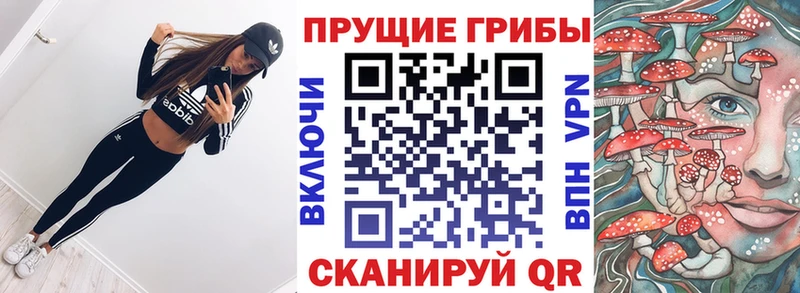 kraken маркетплейс  Дмитров  Галлюциногенные грибы Psilocybine cubensis 