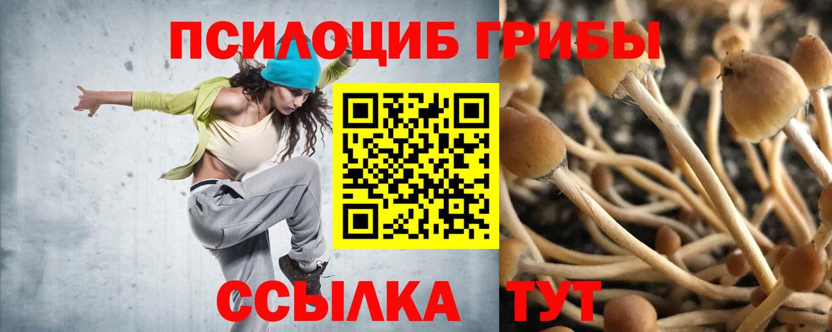 Псилоцибиновые грибы мицелий Дмитров