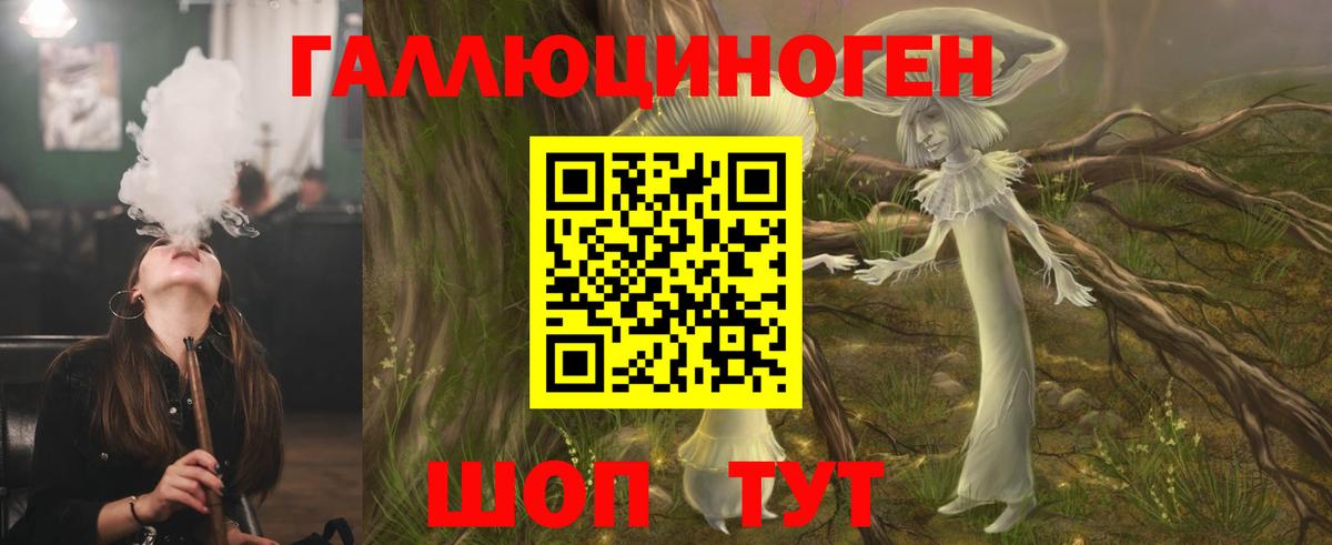 Дмитров  Галлюциногенные грибы Cubensis  Вход с VPN 