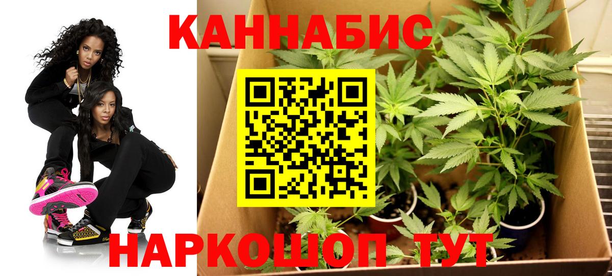 Каннабис White Widow  Бошки Шишки планчик  Дмитров  Вход с VPN 